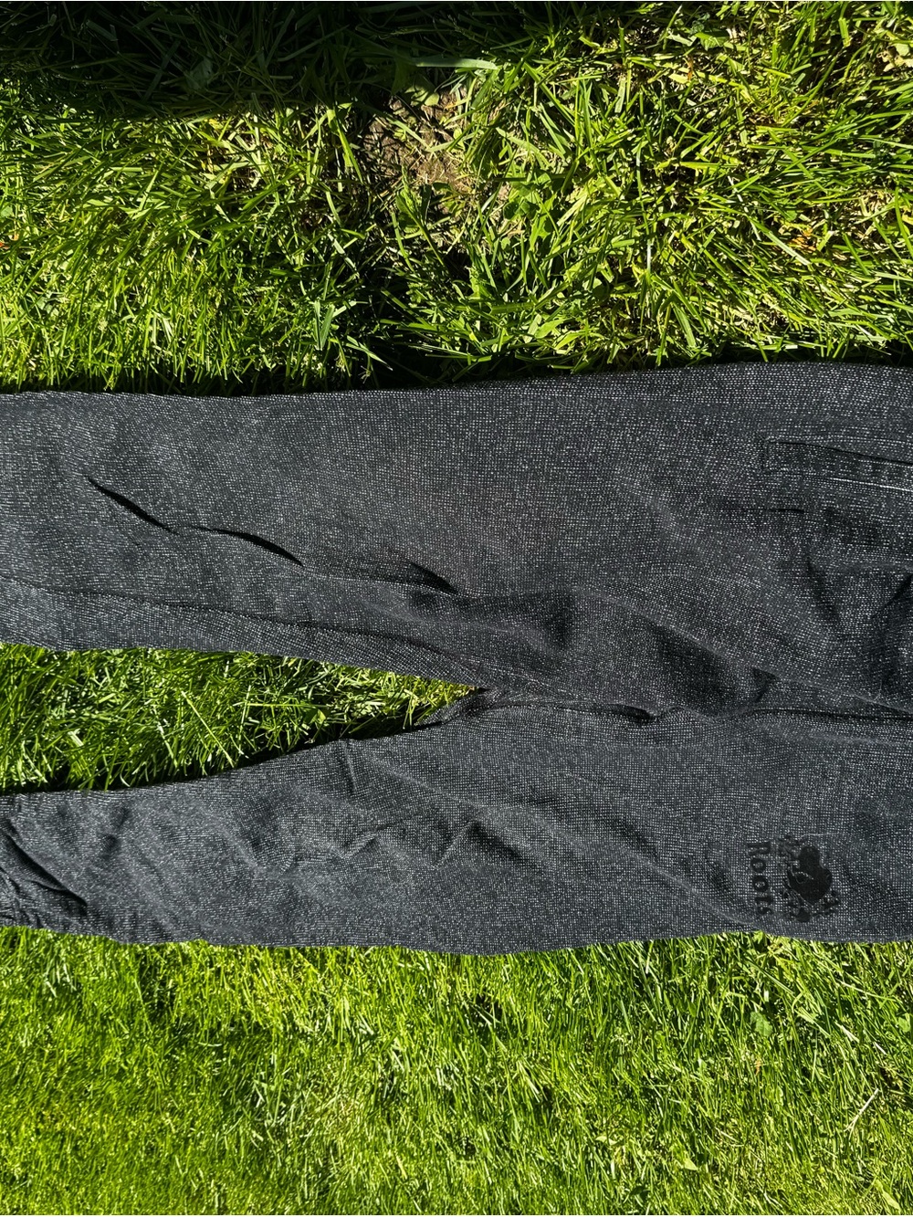 Gray Roots Sweat Pants